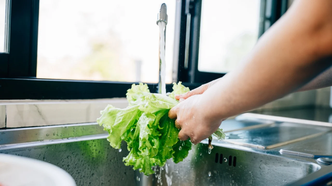 Hygienic food prep, Woman's hands washing fresh vegetables under running water in a modern kitchen sink for a vegan salad. Clean and fresh leafy greens for homemade healthy eating.
