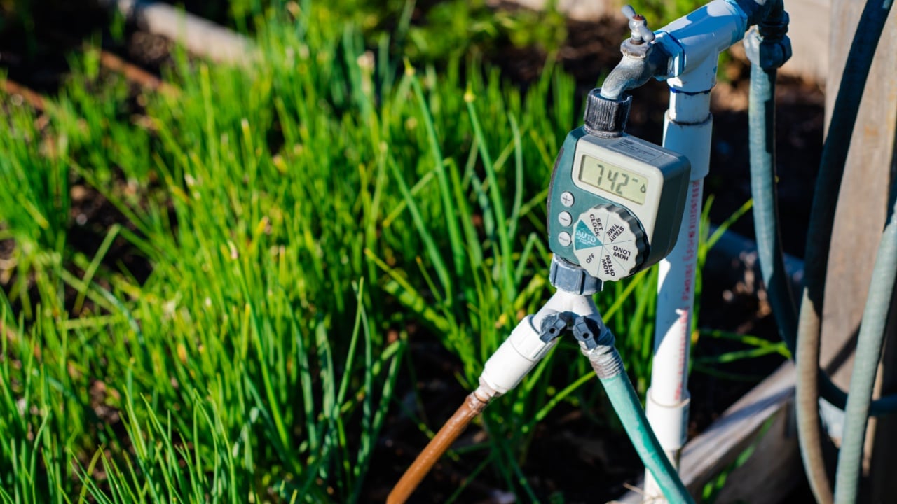 Close-up large display of water timer at community garden in Dallas, Texas, outlet hose faucet digital timer with Y splitter connector automate drip irrigation system, water energy conservation. USA