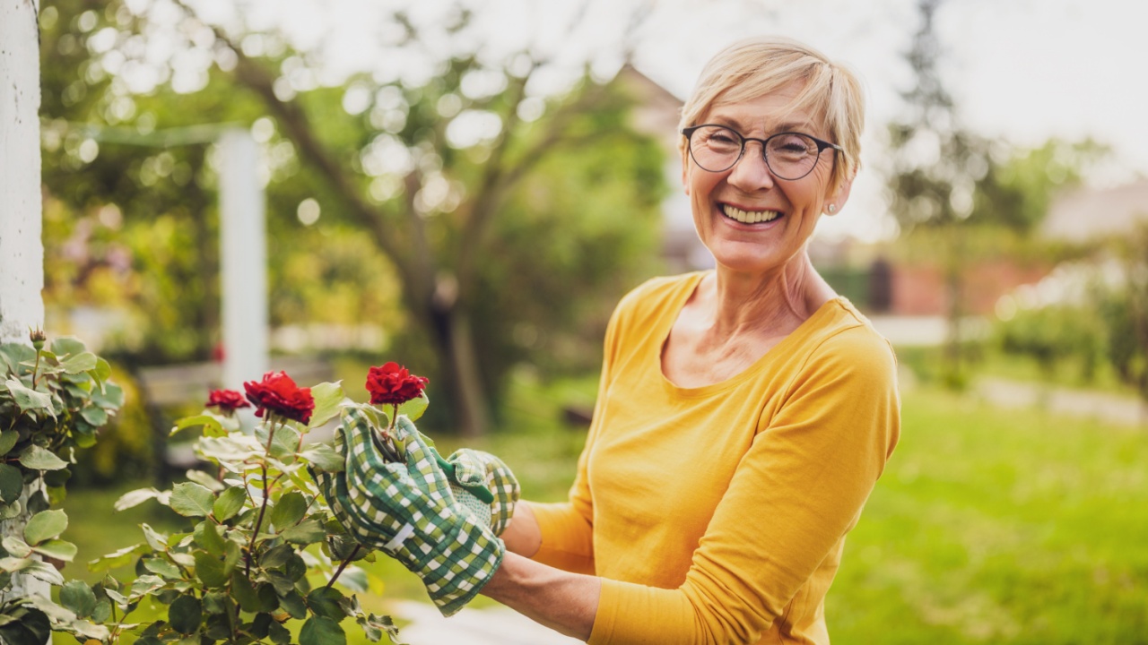 Portrait of happy senior woman gardening. She is pruning flowers.