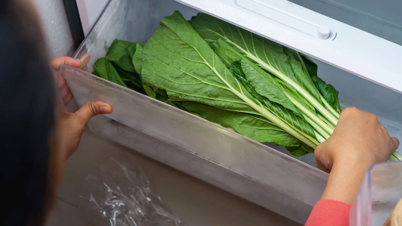 woman put Fresh lettuce leaves that were just bought from the store into the vegetable compartment of the refrigerator