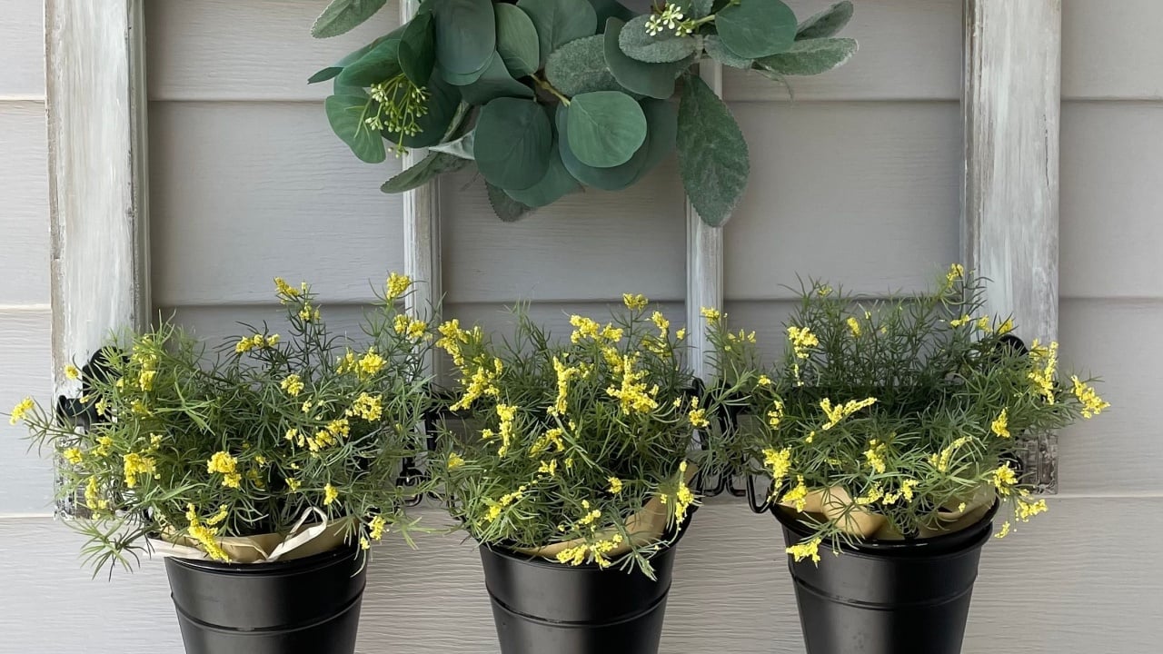 Antique window frame flower pot