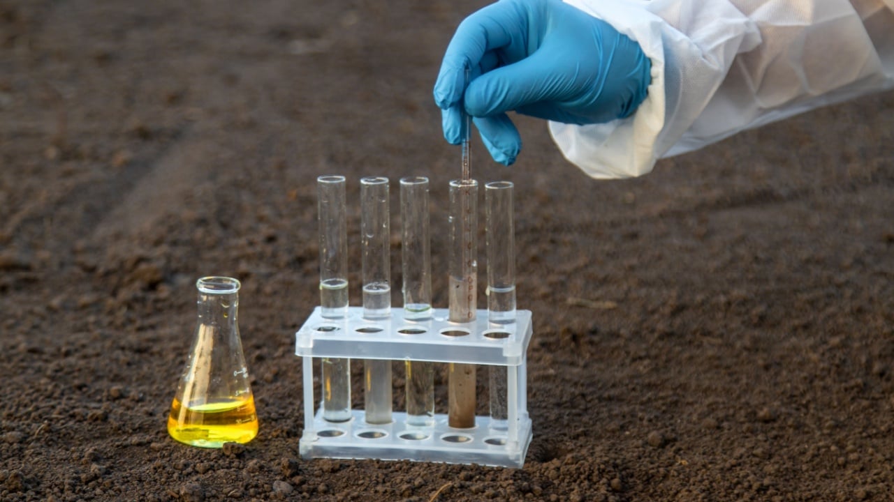 Soil analysis in a test tube. Selective focus. Nature.