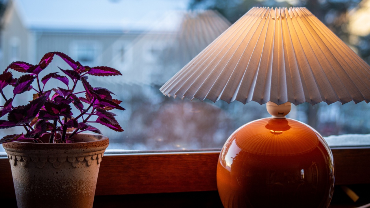 Photo of a painted nettle and a lamp with a pleated lampshade in front of a window with a snowy landscape outside.