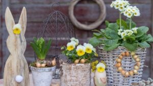 easter garden arrangement with easter bunny, yellow viola flower, cowslip and hyacinth in rustic pots