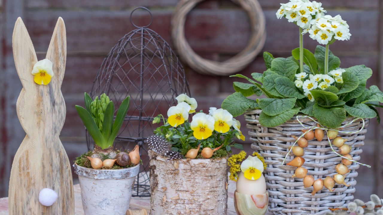 easter garden arrangement with easter bunny, yellow viola flower, cowslip and hyacinth in rustic pots
