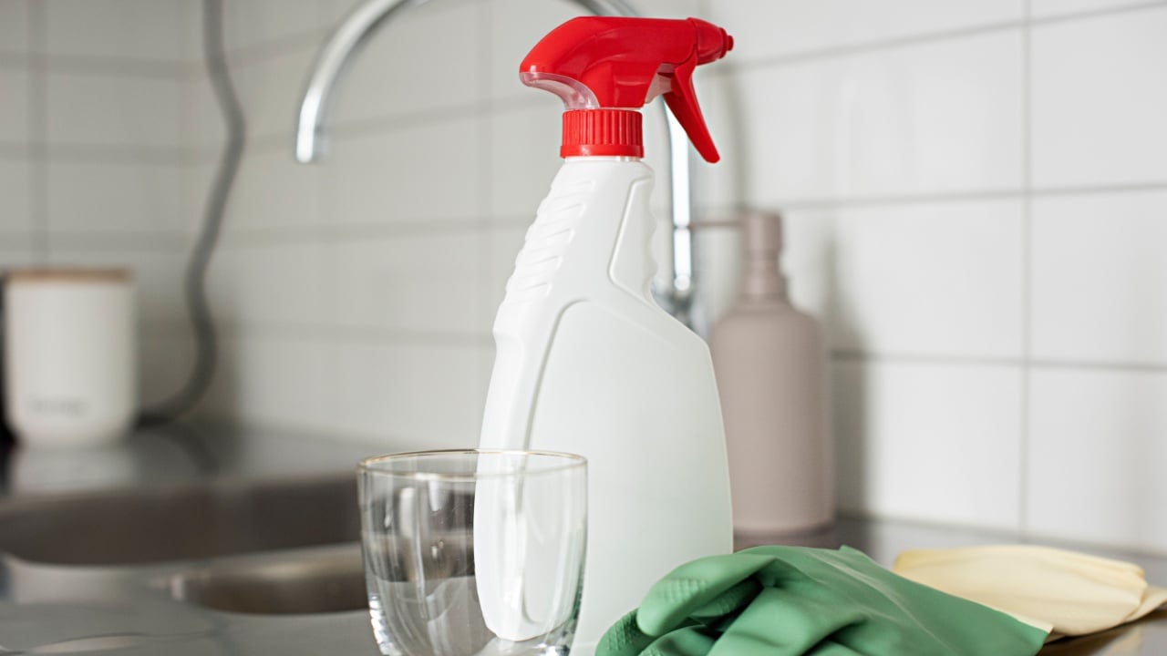 Professional cleaning service in a modern apartment