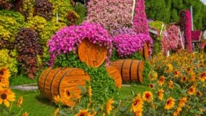 Dubai Miracle Garden with vibrant floral displays, heart-shaped arches, and colorful flower sculptures. Lush greenery and creative designs make it a breathtaking attraction