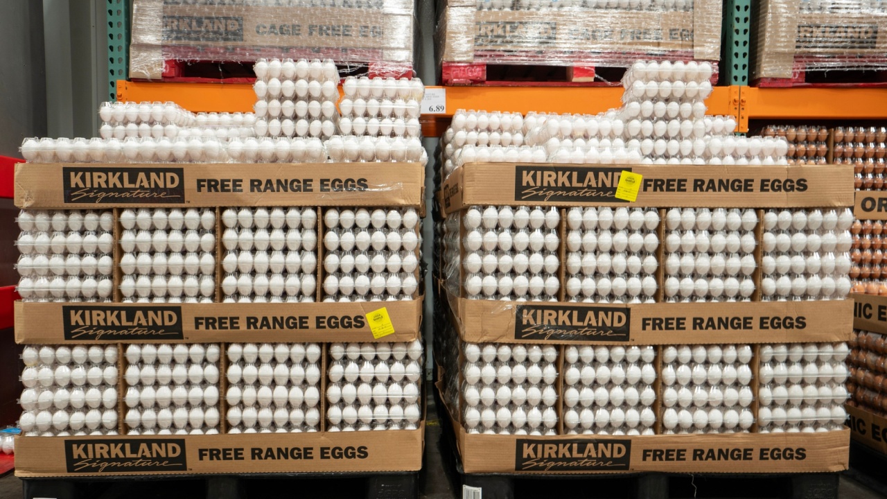Tigard, OR, USA - May 5, 2025: Free range eggs under the Kirkland Signature label at a Costco store in Tigard, Oregon.