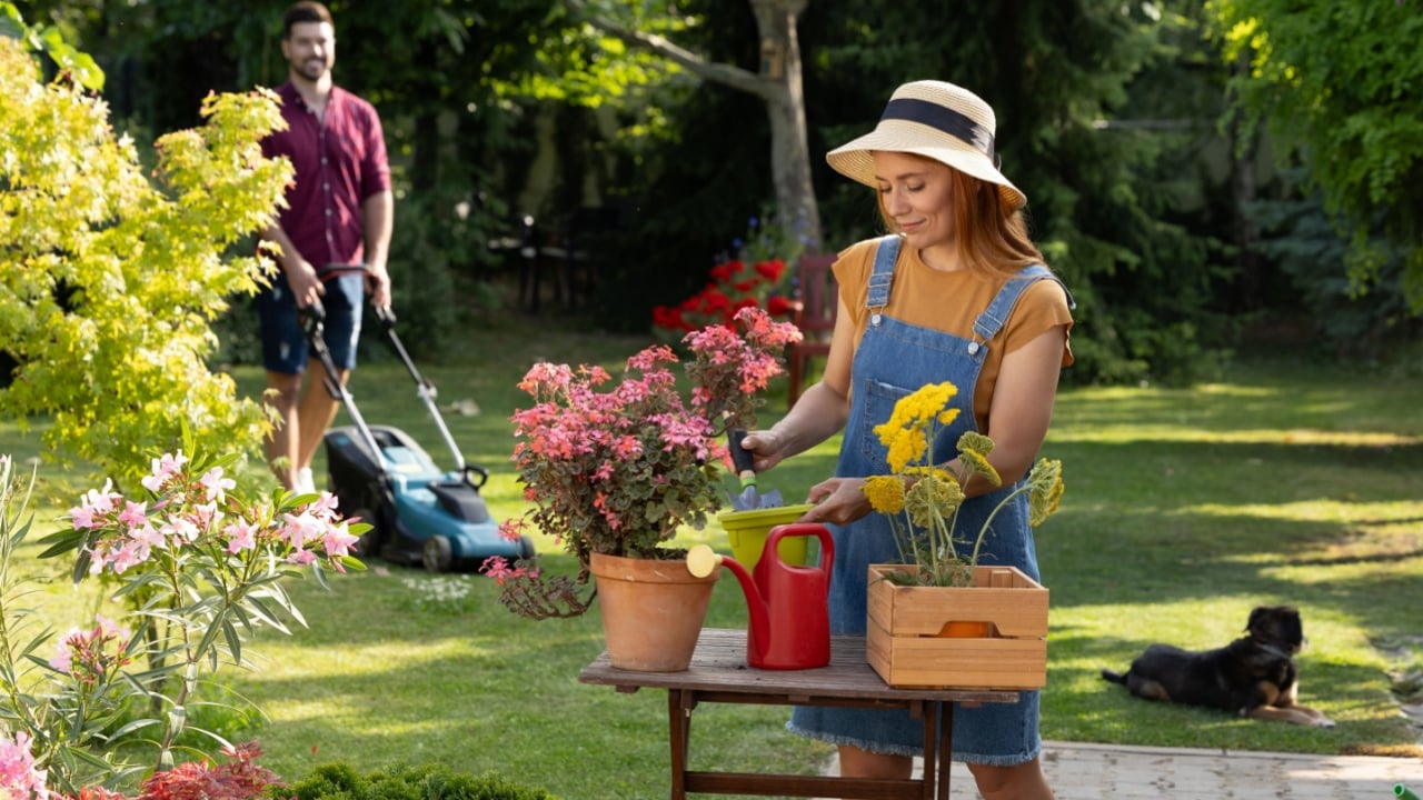 Happy family working hard in their backyard on a sunny afternoon. Pretty wife repotting flowers while husband mows the lawn