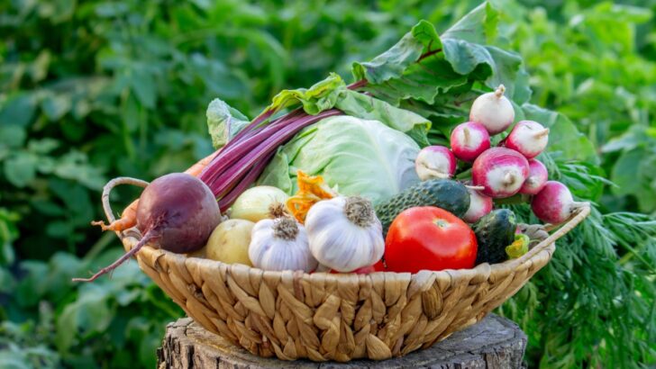 9 Vegetables and Herbs That Could Cut Your Grocery Bill by $400 This Year