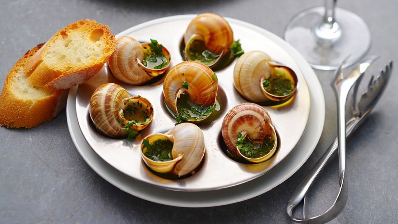 French Appetizer Escargot with Butter and Parsley