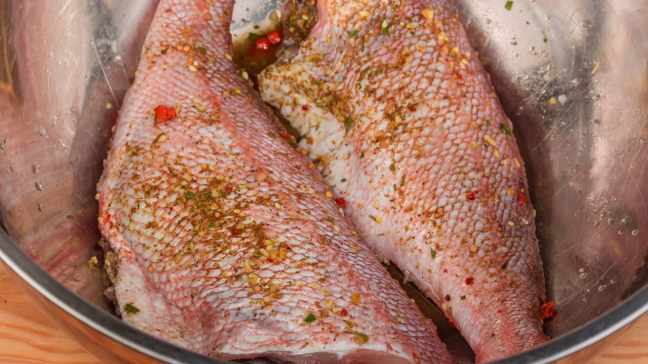 Two raw gutted carcasses of redfish, also known as ocean perch without head and tail marinated in spices before the baking on the bottom of the stainless steel kitchen bowl.