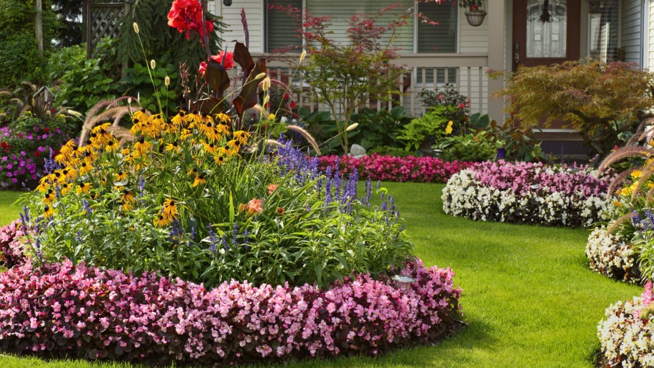 Home Garden. A home garden in full bloom during spring and summer.