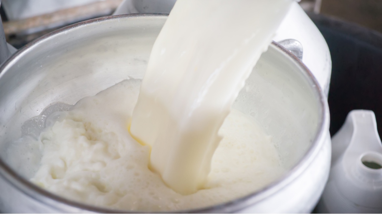 Pour raw milk into a bucket