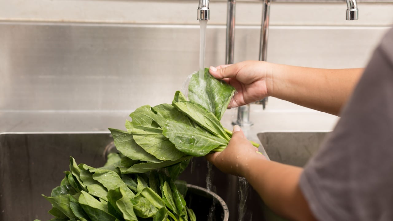 Hand washing green organic vegetables in kitchen sink with running water