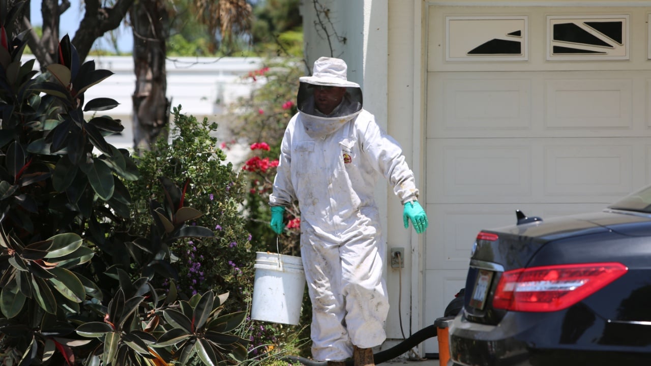 Lake Forest, California 7-16-2018: Scenes from an Emergency Response to a Bee