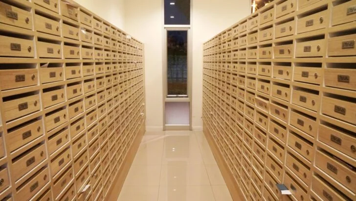 His Neighbors Are Stealing His Mail. Here Is What He Can Do.