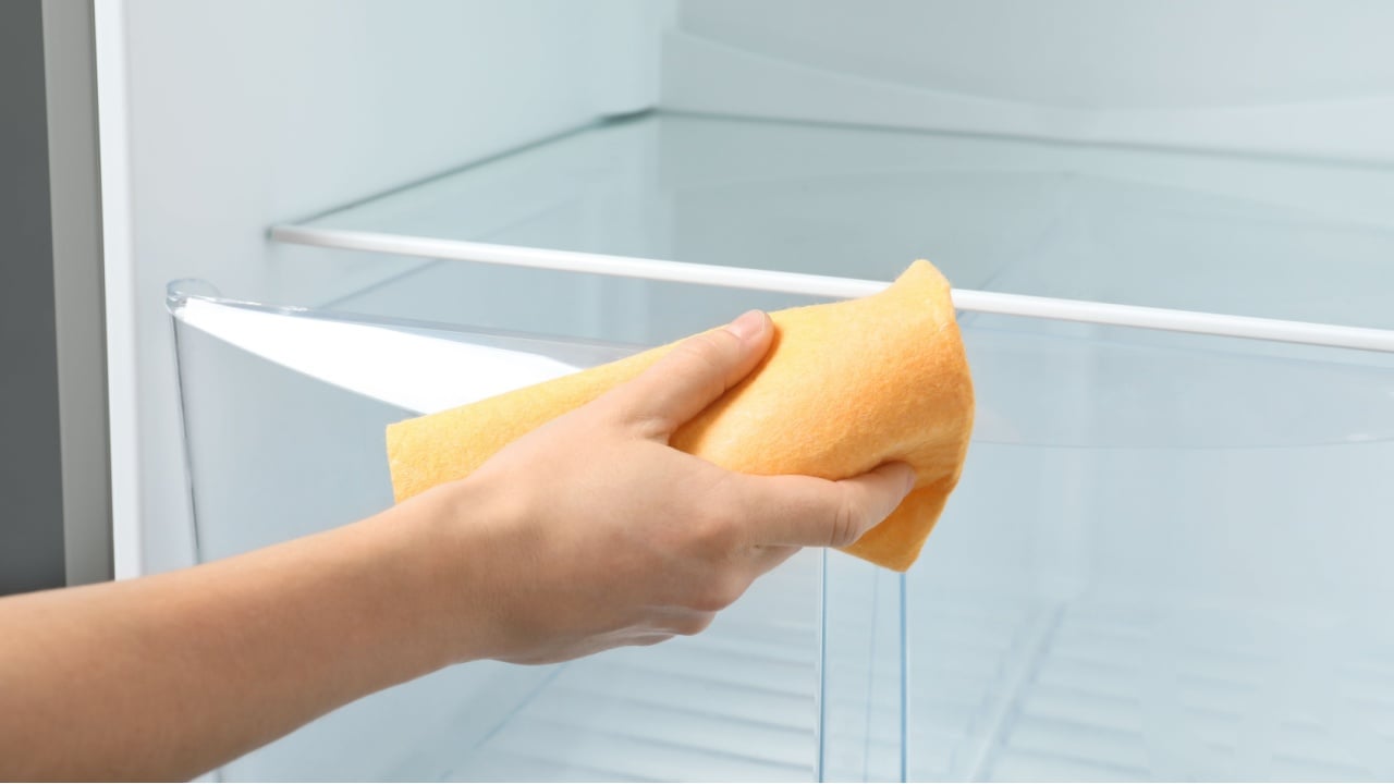 Woman cleaning empty refrigerator with rag, closeup