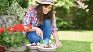 Gorgeous Caucasian brunette in working clothes and with hat on head crouching and planting white begonia in her backyard.