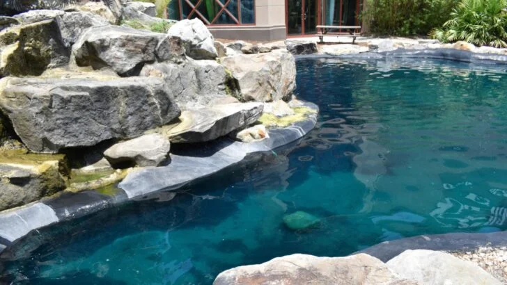 6 Intriguing Benefits of Installing a Natural Swimming Pool