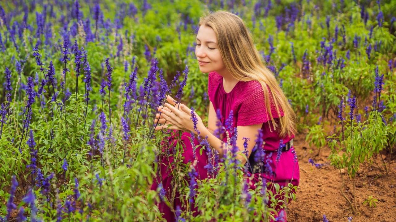 Beautiful woman relaxing in lavender field watching on sunset