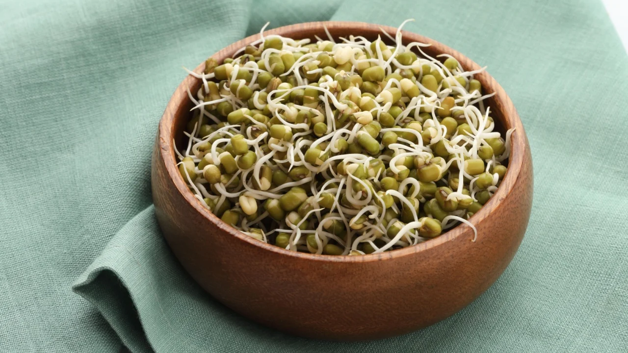 sprouted whole green mung beans