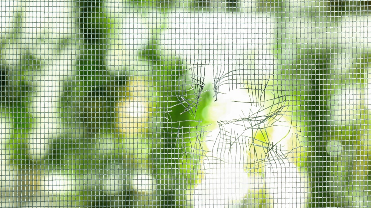 Torn window screen against blurred background, closeup