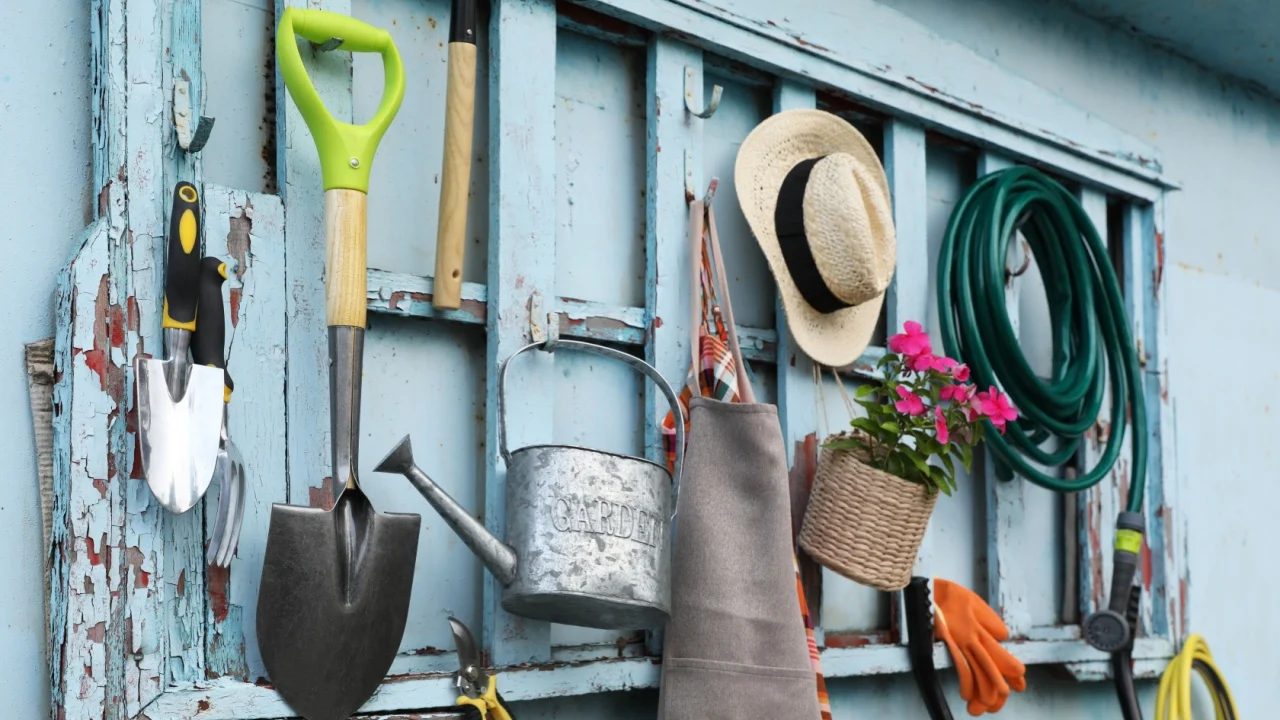 Beautiful plant, gardening tools and accessories on shed wall