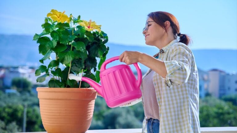 An adult woman watering a flower in a pot from a watering can