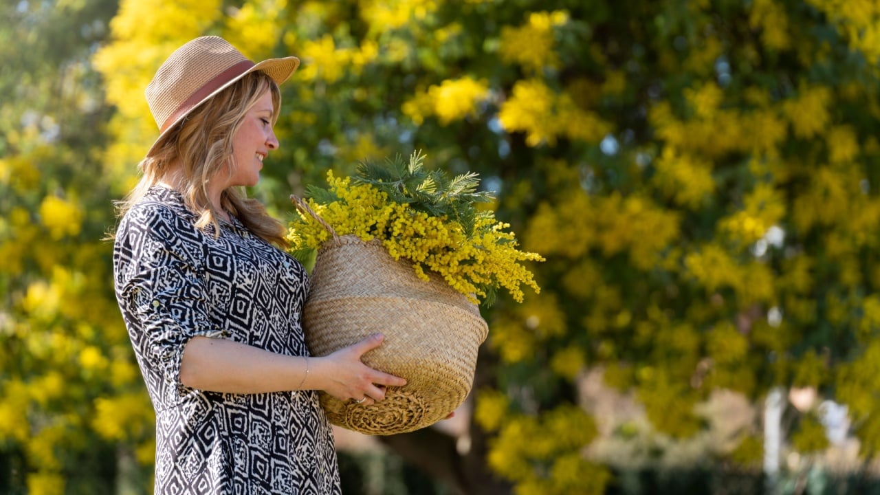 Woman with a hat in the garden walking with a mimosa tree on the background