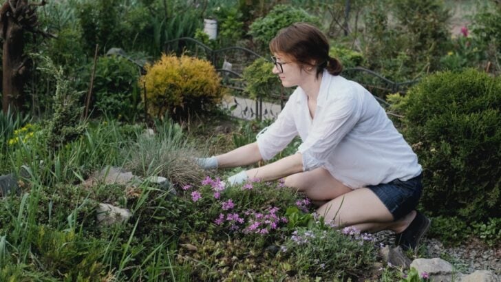 18 Gardening Mistakes That Are Costing You Hours Every Week
