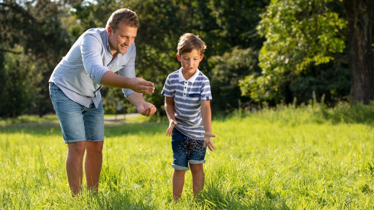 Father and son seeding grass or other plants together outdoor