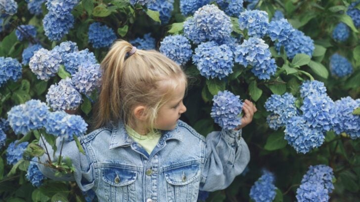 9 Spring Plants That Could Send Your Child to the Emergency Room