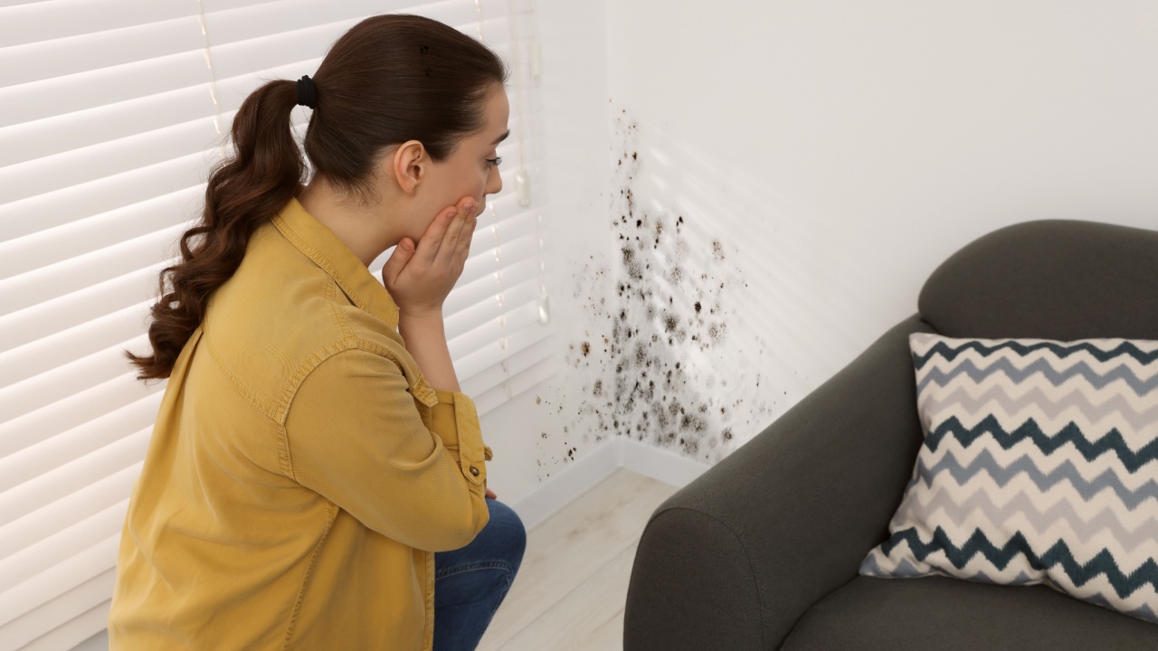 Shocked woman looking at affected with mold walls in room