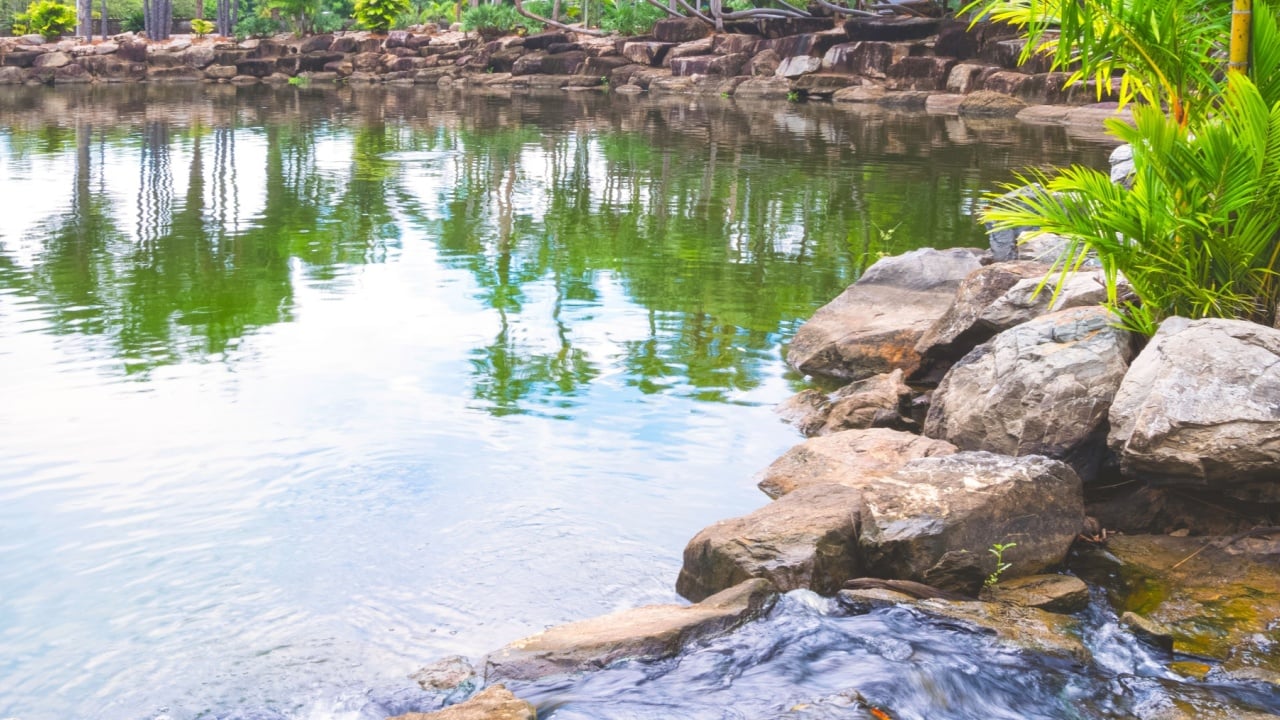 Beautiful landscape view of the water flowing in the stream into the large pond with many rocks and green plants