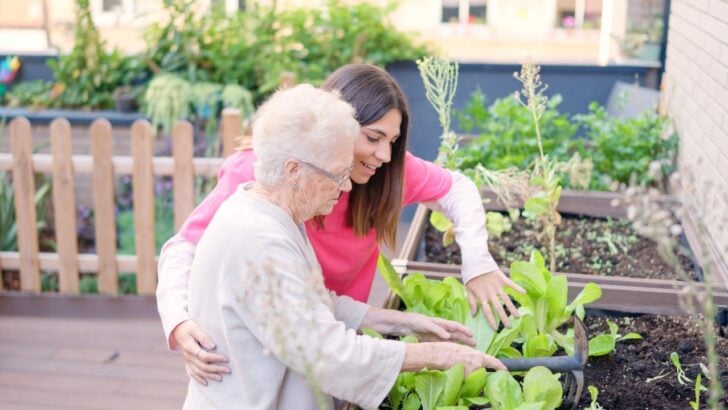 Is Your Garden Hurting You? 9 Tools Doctors Say Could Save Your Joints
