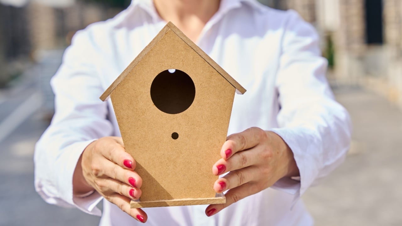 Joyous exterior designer demonstrating assembled nest box outdoors