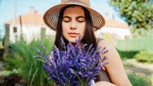 One young caucasian woman is cutting lavender at her home garden during the day