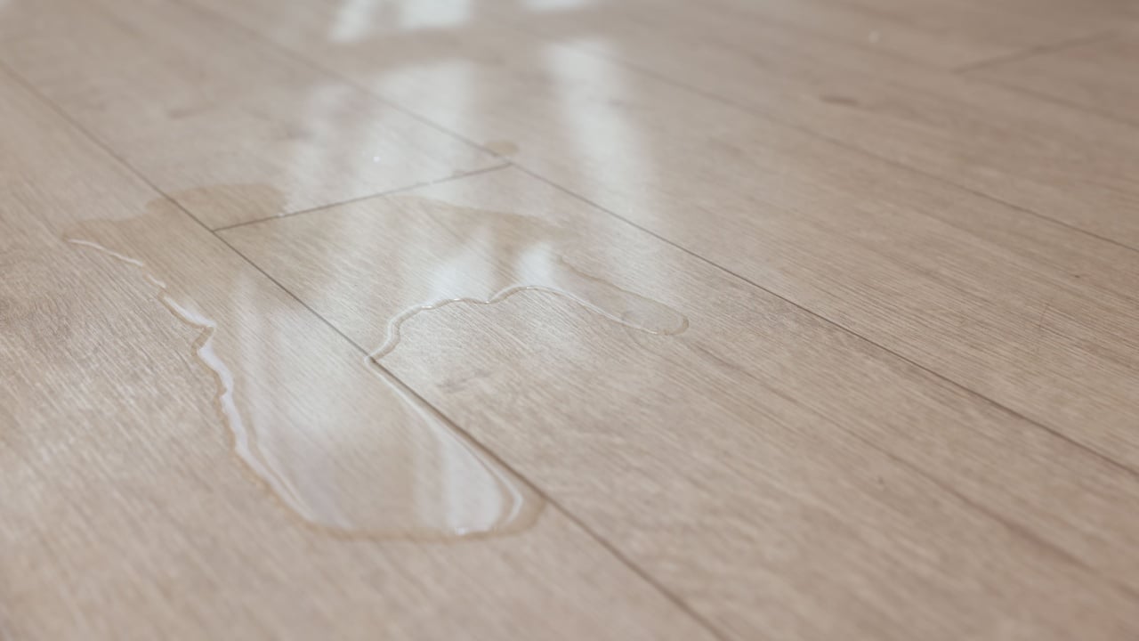 Puddle of liquid on wooden floor indoors, closeup. Space for text