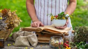 Medicinal herbs woman alternative medicine