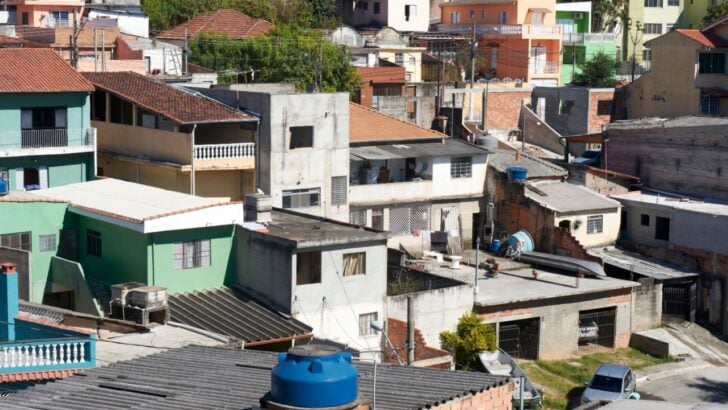 A Brazilian Hero&rsquo;s $1 Favela Rooftop Garden Solution to Turn Heat into Hope