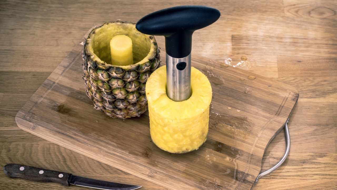 the pineapple corer-slicer