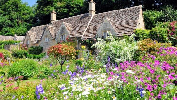 The Plants Your Grandmother Grew That Are Making a Stunning Comeback in Cottage Gardens Everywhere
