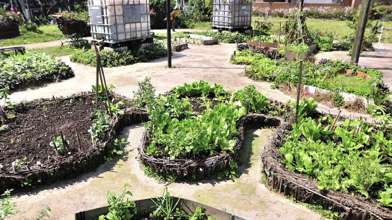 keyhole vegetable garden