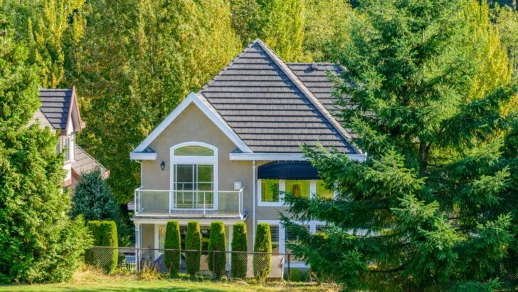 8 Flammable Plants and Trees to Never Grow Near the Home