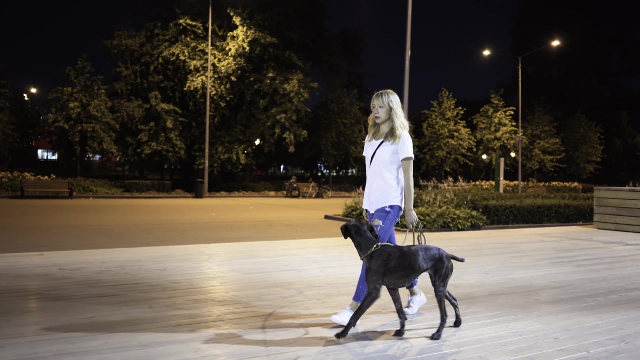 Young woman wearing jeans and a T shirt is walking with her big black dog in a park on a summer night. Tracking real time medium shot