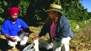 California Farmers