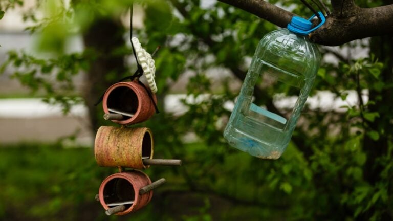 Big plastic bottle used as feeder for birds.