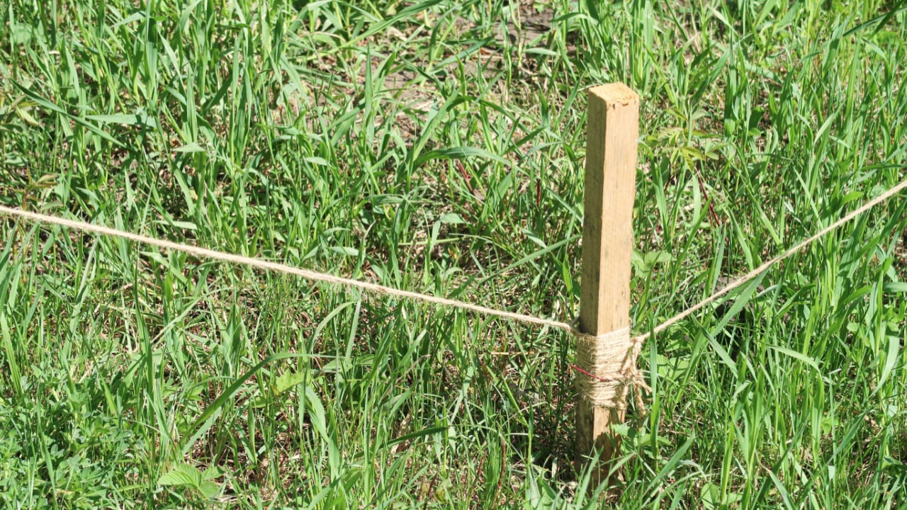 Wooden stake in the ground with a rope in the green grass.