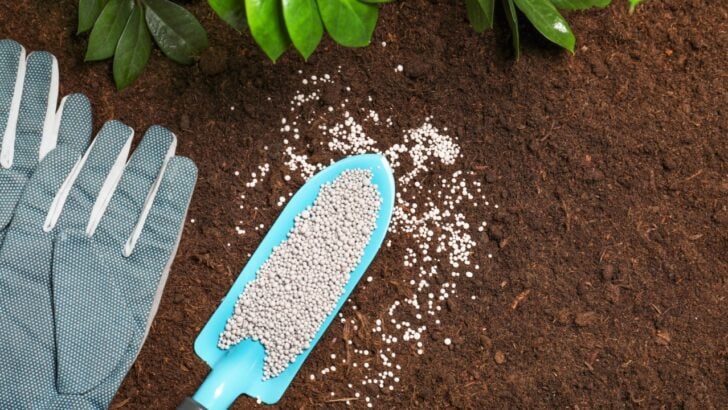 7 Ways Your Fertilizer Is Secretly Destroying Your Soil (And What to Do Instead)